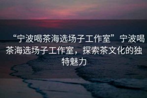 “寧波喝茶海選場子工作室”寧波喝茶海選場子工作室，探索茶文化的獨(dú)特魅力