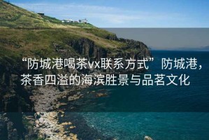 “防城港喝茶vx聯(lián)系方式”防城港，茶香四溢的海濱勝景與品茗文化