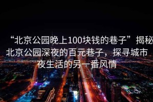 “北京公園晚上100塊錢的巷子”揭秘北京公園深夜的百元巷子，探尋城市夜生活的另一番風情