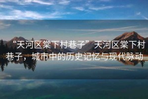 “天河區(qū)棠下村巷子”天河區(qū)棠下村巷子，城市中的歷史記憶與現(xiàn)代脈動