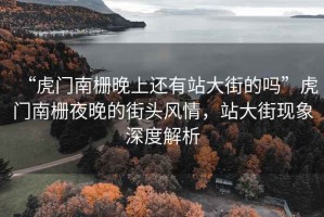 “虎門南柵晚上還有站大街的嗎”虎門南柵夜晚的街頭風(fēng)情，站大街現(xiàn)象深度解析