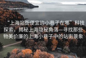 “上海站街便宜的小巷子在哪”科技探索，揭秘上海隱秘角落—尋找那些物美價(jià)廉的上海小巷子中的站街景象