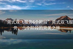 “莞式雙飛服務(wù)6個(gè)階段”莞式雙飛服務(wù)，六個(gè)階段的完美之旅