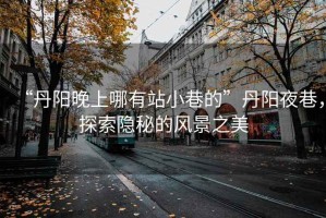 “丹陽晚上哪有站小巷的”丹陽夜巷，探索隱秘的風(fēng)景之美