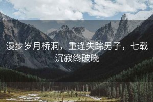漫步歲月橋洞，重逢失蹤男子，七載沉寂終破曉