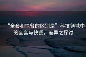 “全套和快餐的區(qū)別是”科技領(lǐng)域中的全套與快餐，差異之探討