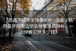 “西昌學院學生快餐400一次多少錢”西昌學院周邊學生快餐消費揭秘，一次快餐究竟多少錢？