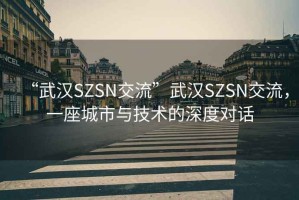 “武漢SZSN交流”武漢SZSN交流，一座城市與技術(shù)的深度對話