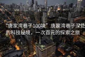 “唐家灣巷子100塊”唐家灣巷子深處的科技秘境，一次百元的探索之旅