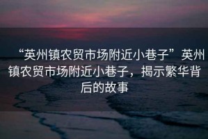 “英州鎮(zhèn)農(nóng)貿(mào)市場(chǎng)附近小巷子”英州鎮(zhèn)農(nóng)貿(mào)市場(chǎng)附近小巷子，揭示繁華背后的故事
