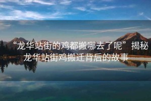 “龍華站街的雞都搬哪去了呢”揭秘龍華站街雞搬遷背后的故事