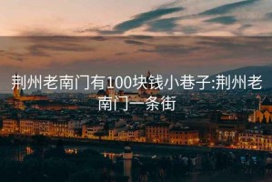 荊州老南門有100塊錢小巷子:荊州老南門一條街