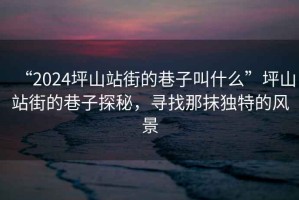 “2024坪山站街的巷子叫什么”坪山站街的巷子探秘，尋找那抹獨(dú)特的風(fēng)景