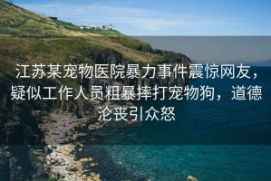 江蘇某寵物醫(yī)院暴力事件震驚網(wǎng)友，疑似工作人員粗暴摔打?qū)櫸锕?，道德淪喪引眾怒