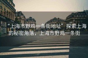 “上海市野雞一條街地址”探索上海的秘密角落，上海市野雞一條街