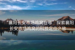 “襄陽長安市場雞窩在哪”探索襄陽長安市場雞窩的科技定位之旅
