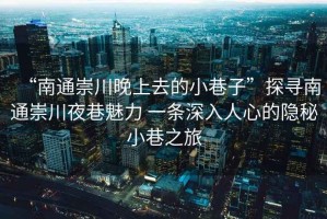 “南通崇川晚上去的小巷子”探尋南通崇川夜巷魅力 一條深入人心的隱秘小巷之旅