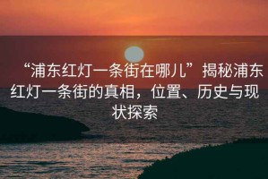 “浦東紅燈一條街在哪兒”揭秘浦東紅燈一條街的真相，位置、歷史與現(xiàn)狀探索