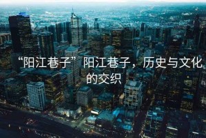 “陽江巷子”陽江巷子，歷史與文化的交織
