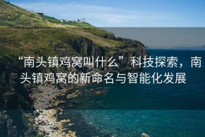“南頭鎮(zhèn)雞窩叫什么”科技探索，南頭鎮(zhèn)雞窩的新命名與智能化發(fā)展