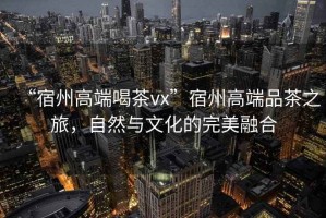 “宿州高端喝茶vx”宿州高端品茶之旅，自然與文化的完美融合
