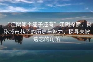 “江陰哪個巷子還有”江陰探索，揭秘城市巷子的歷史與魅力，探尋未被遺忘的角落