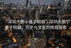 “深圳大鵬小巷子明細”深圳大鵬小巷子明細，歷史與文化的微觀探索