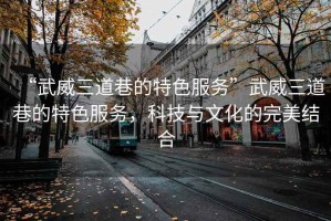 “武威三道巷的特色服務(wù)”武威三道巷的特色服務(wù)，科技與文化的完美結(jié)合