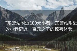 “東營站附近100元小巷”東營站附近的小巷奇遇，百元之下的驚喜體驗