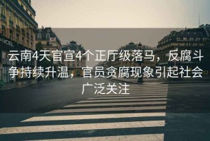 云南4天官宣4個(gè)正廳級落馬，反腐斗爭持續(xù)升溫，官員貪腐現(xiàn)象引起社會(huì)廣泛關(guān)注