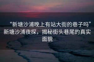 “新塘沙浦晚上有站大街的巷子嗎”新塘沙浦夜探，揭秘街頭巷尾的真實(shí)面貌