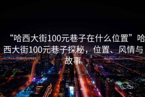 “哈西大街100元巷子在什么位置”哈西大街100元巷子探秘，位置、風(fēng)情與故事