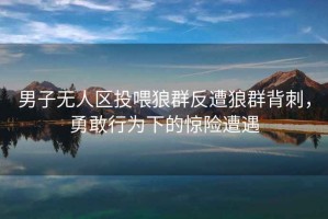 男子無人區(qū)投喂狼群反遭狼群背刺，勇敢行為下的驚險遭遇