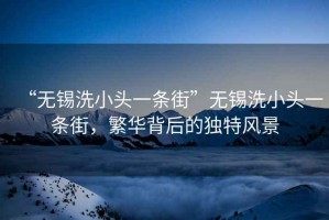 “無錫洗小頭一條街”無錫洗小頭一條街，繁華背后的獨特風景