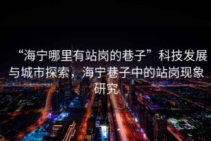 “海寧哪里有站崗的巷子”科技發(fā)展與城市探索，海寧巷子中的站崗現(xiàn)象研究