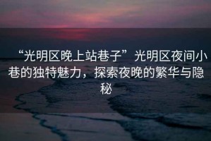 “光明區(qū)晚上站巷子”光明區(qū)夜間小巷的獨特魅力，探索夜晚的繁華與隱秘
