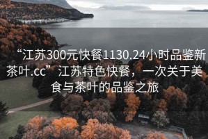“江蘇300元快餐1130.24小時(shí)品鑒新茶葉.cc”江蘇特色快餐，一次關(guān)于美食與茶葉的品鑒之旅