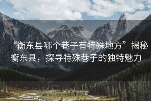 “衡東縣哪個(gè)巷子有特殊地方”揭秘衡東縣，探尋特殊巷子的獨(dú)特魅力