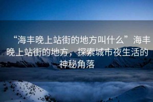 “海豐晚上站街的地方叫什么”海豐晚上站街的地方，探索城市夜生活的神秘角落