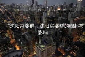 “沈陽富婆群”沈陽富婆群的崛起與影響