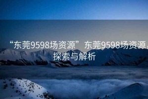 “東莞9598場(chǎng)資源”東莞9598場(chǎng)資源，探索與解析