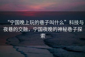 “寧國晚上玩的巷子叫什么”科技與夜巷的交融，寧國夜晚的神秘巷子探索