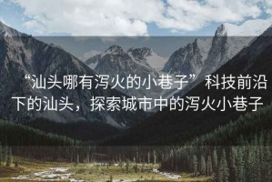 “汕頭哪有瀉火的小巷子”科技前沿下的汕頭，探索城市中的瀉火小巷子