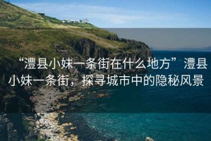“澧縣小妹一條街在什么地方”澧縣小妹一條街，探尋城市中的隱秘風(fēng)景
