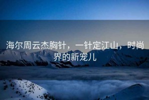 海爾周云杰胸針，一針定江山，時(shí)尚界的新寵兒