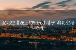 渝北空港晚上的50元小巷子:渝北空港一條街