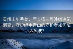 貴州山川秀美，廳長楊三可涉嫌違紀調(diào)查，守護綠水青山的守護者如何陷入風波？