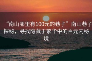 “南山哪里有100元的巷子”南山巷子探秘，尋找隱藏于繁華中的百元內(nèi)秘境