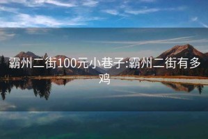 霸州二街100元小巷子:霸州二街有多雞