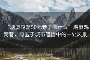 “塘廈雞窩50元巷子叫什么”塘廈雞窩巷，隱匿于城市喧囂中的一處風(fēng)景